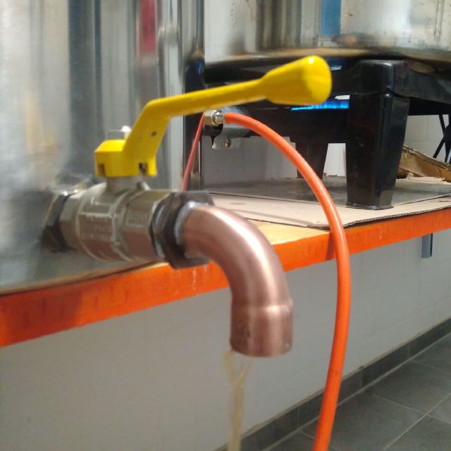 Bier